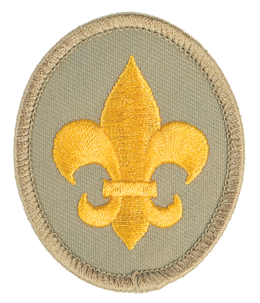 scout rank