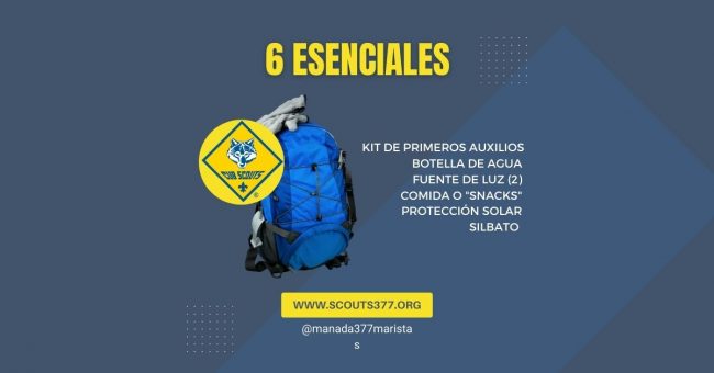 6 esenciales